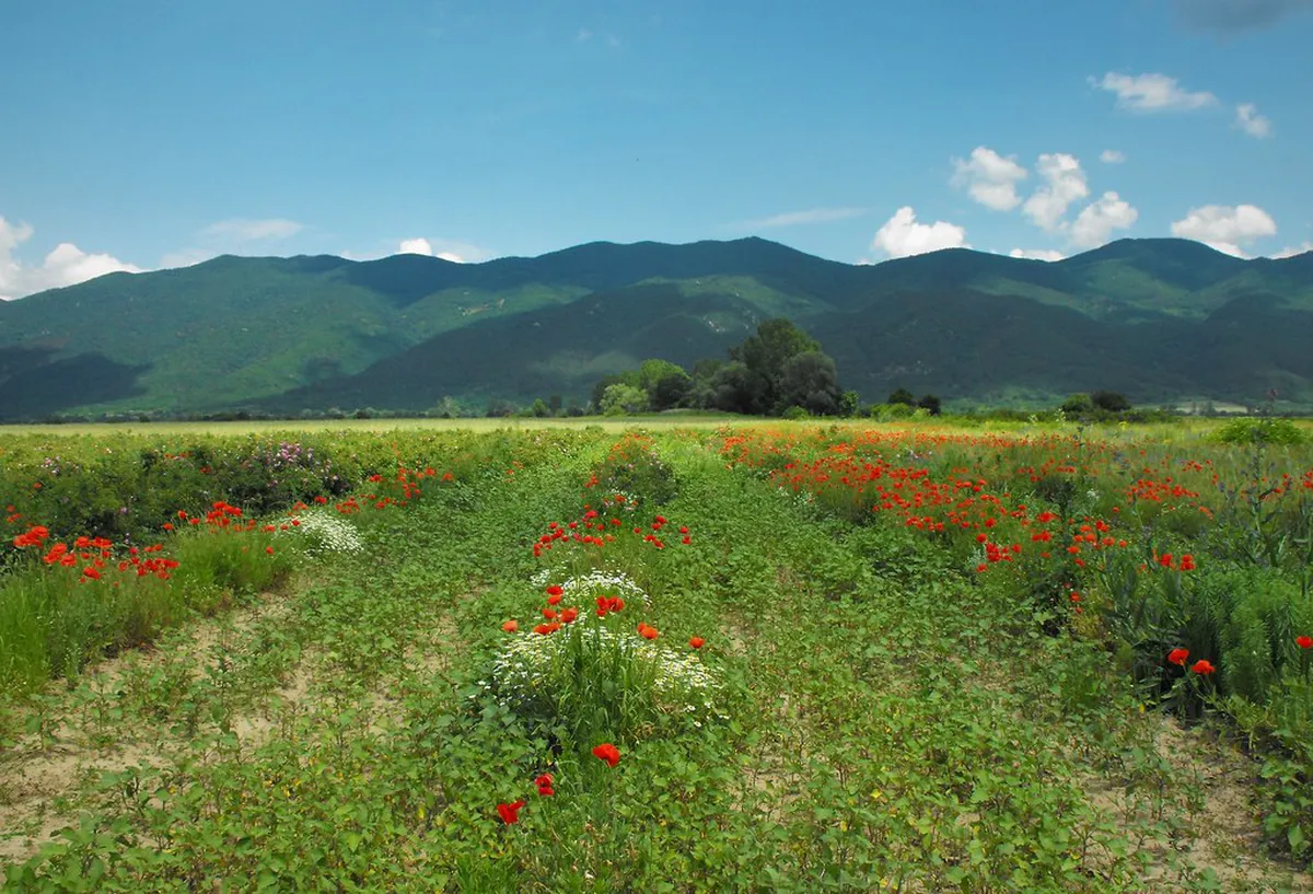 18 Best Places to Visit in Bulgaria: A Complete 2026 Guide