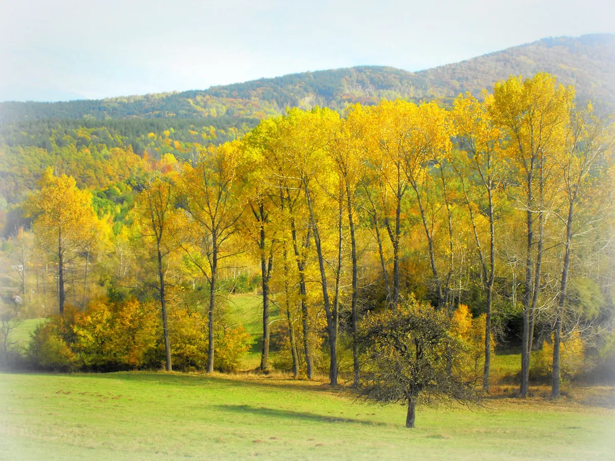 Bulgaria in Autumn: 7 Best Things to Do and See