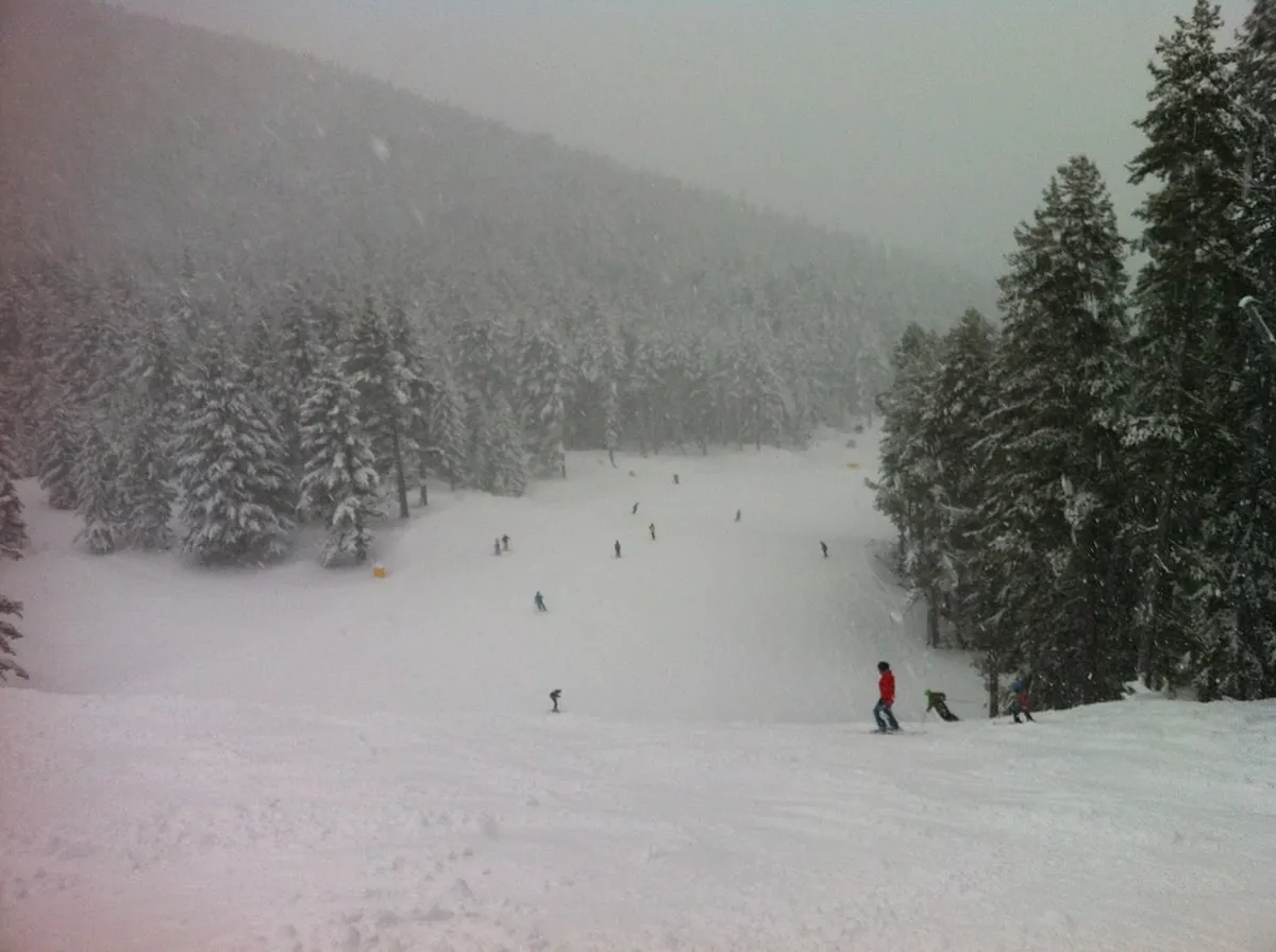 Travel Insurance for Bulgaria: Requirements, Coverage & Best Plans