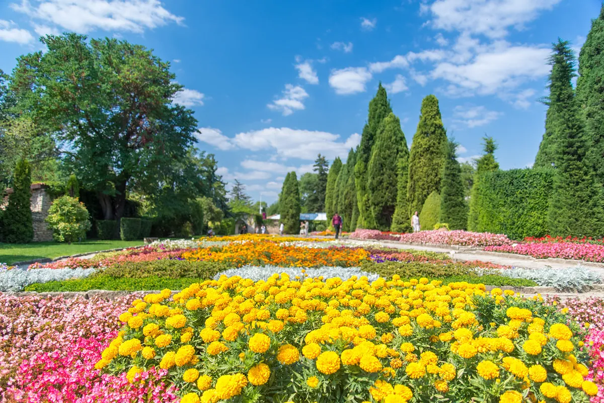 Planning Your Day Trip: Transport, Booking, and What to Bring