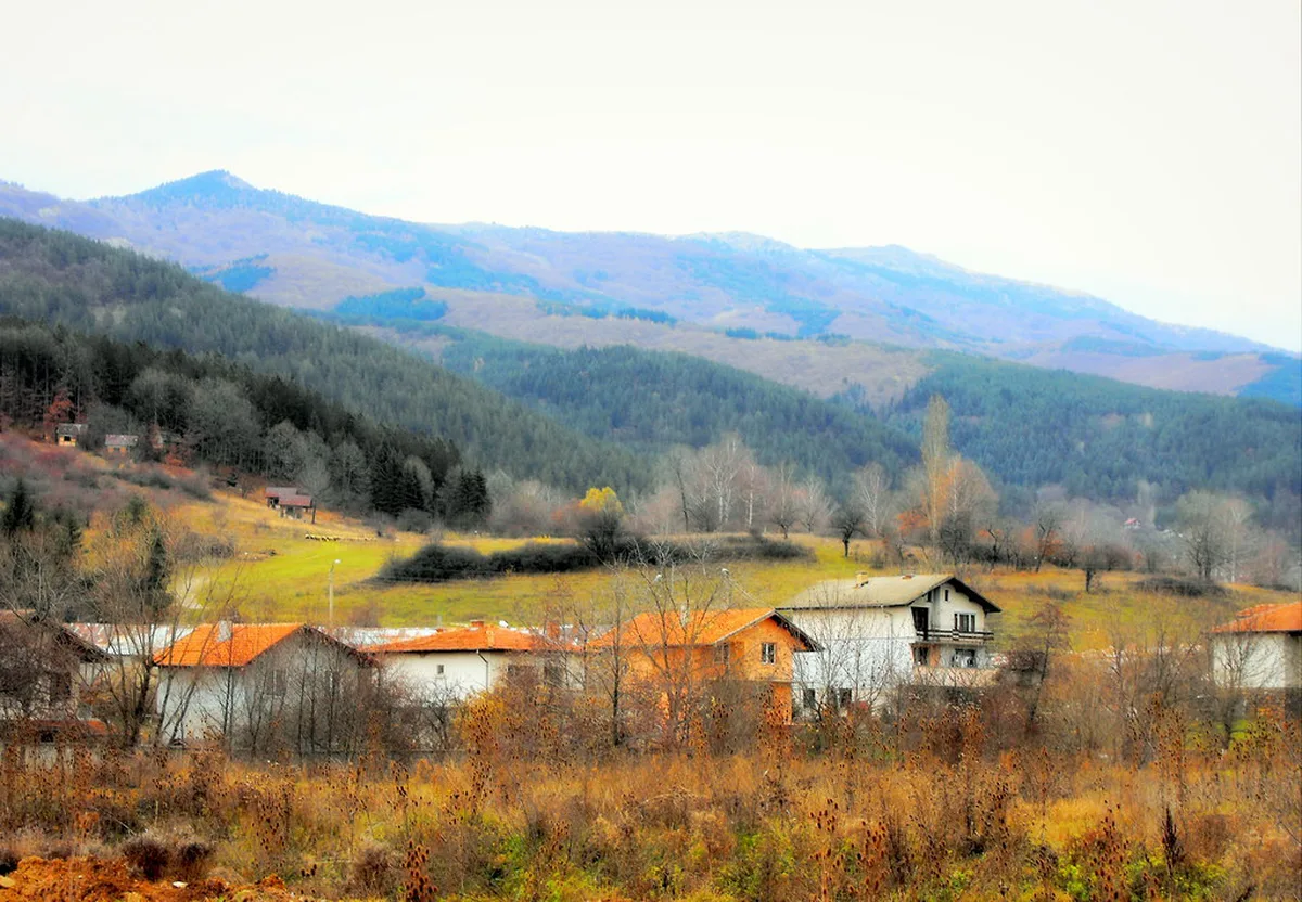 Golden autumn foliage blanketing the forested slopes of the Rhodope Mountains in Bulgaria