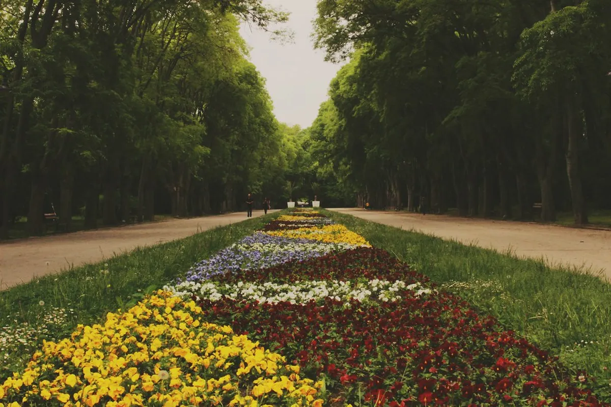 Beyond the Beach: Nature, Culture & Day Trips Worth Making