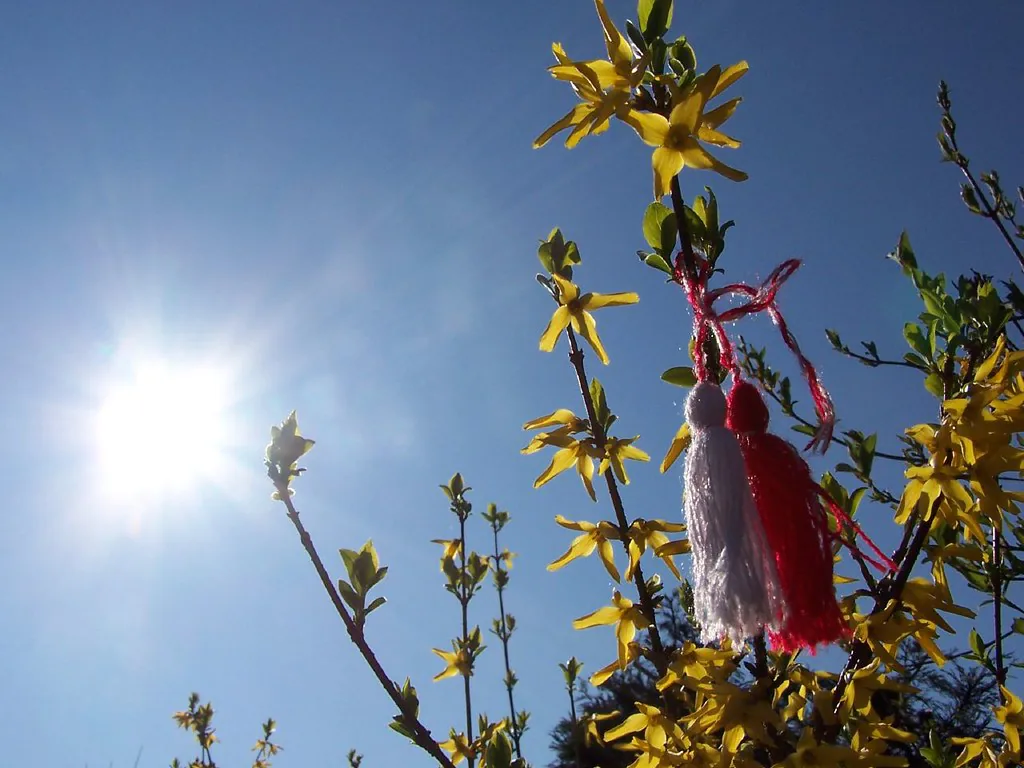 Red and white martenitsa tassels worn for Baba Marta on 1 March in Bulgaria