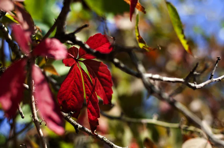 Autumn in Varna, Bulgaria