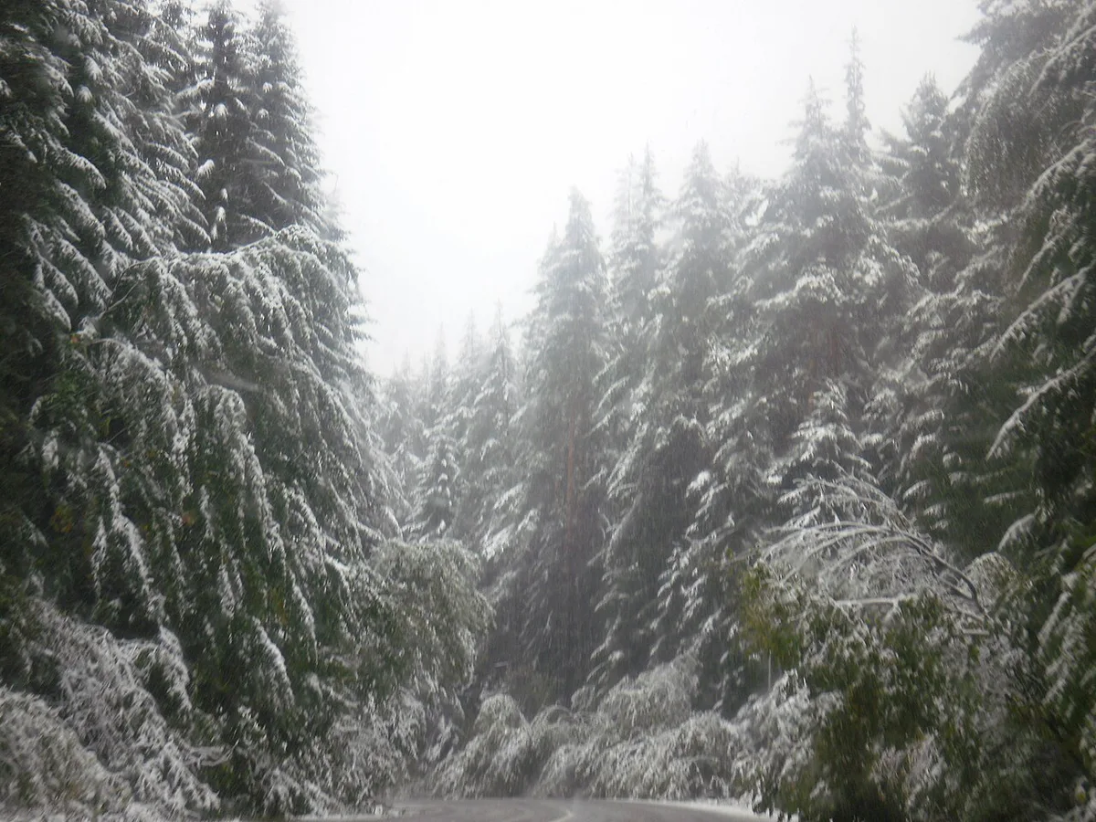 Mountain road approaching Borovets, Bulgaria — 1