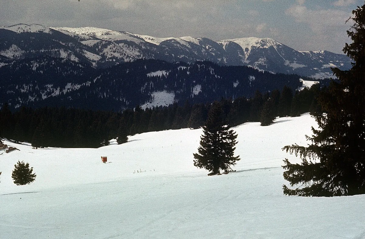 Pamporovo apres-ski and evening scene — 1