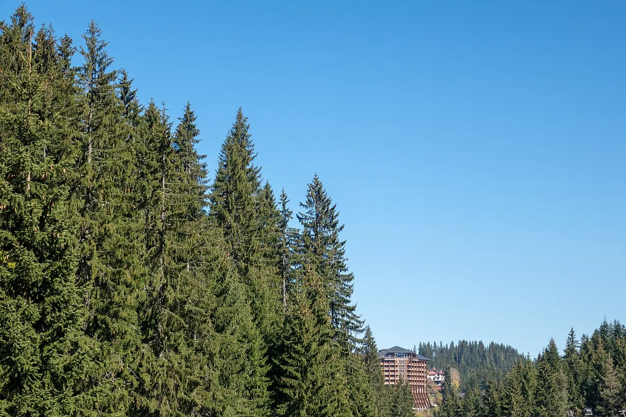 Pamporovo Nightlife & Après-Ski 2026