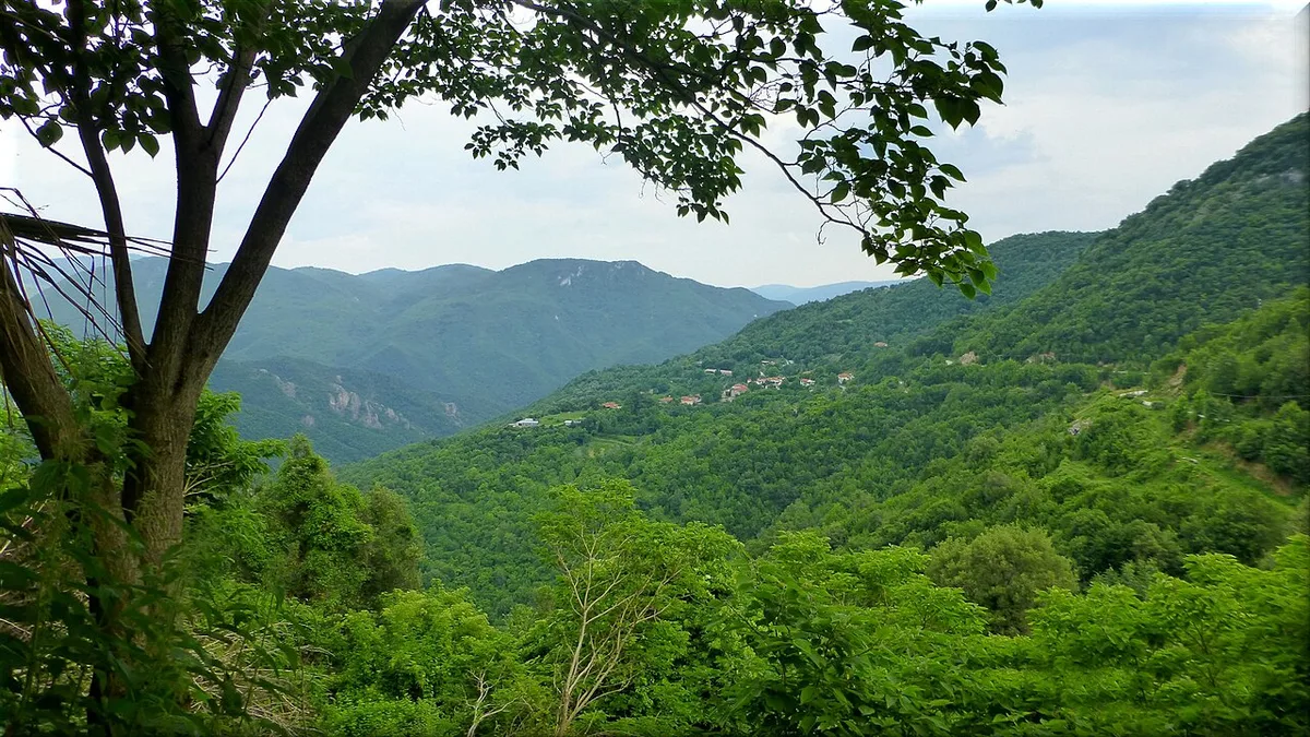 Rhodope Mountains near Pamporovo — 1
