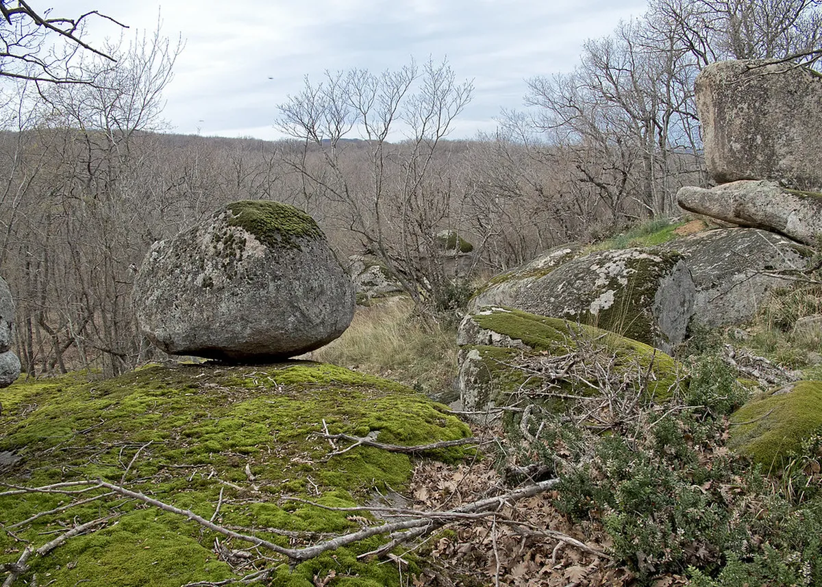 Ropotamo, Bulgaria — Conservation Efforts and Ecological Importance