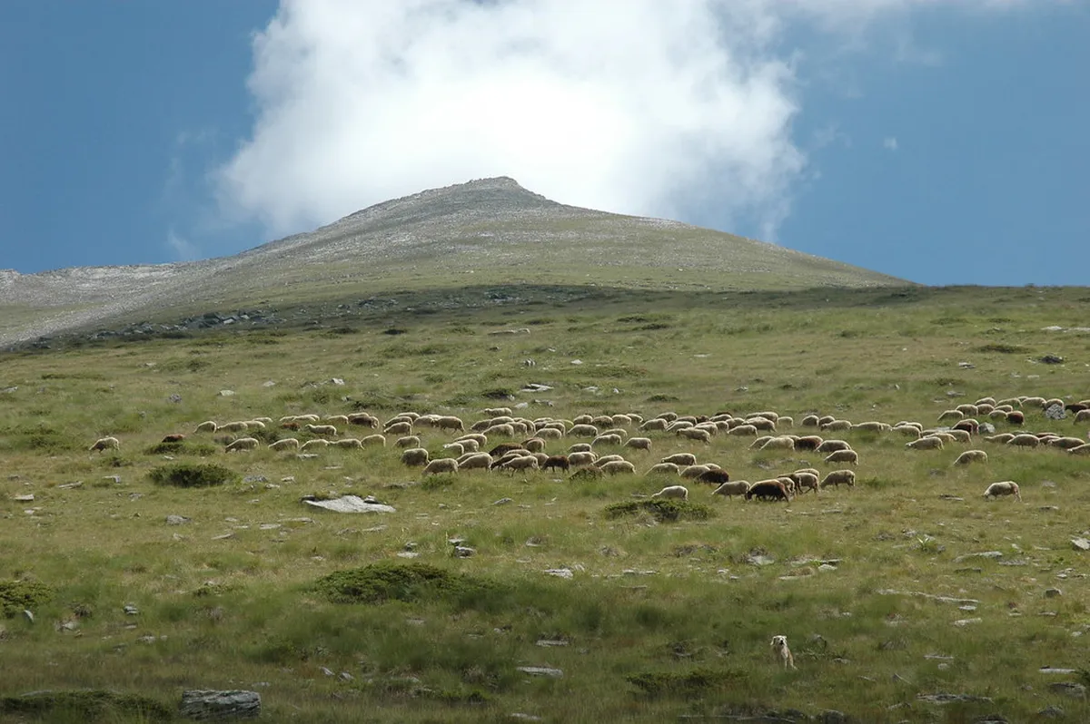 The tiny medieval town of Melnik with its distinctive sand pyramid formations and traditional Bulgarian architecture