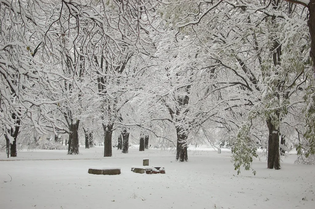 Travel view in Ruse, Bulgaria