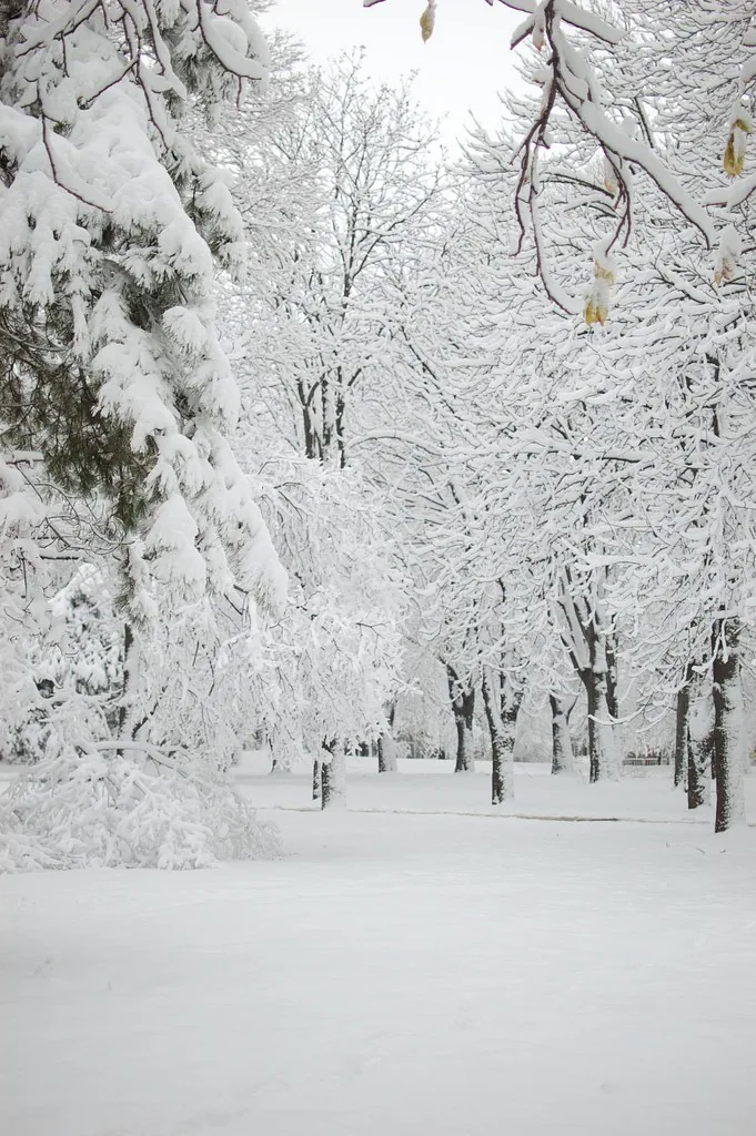 Travel view in Ruse, Bulgaria