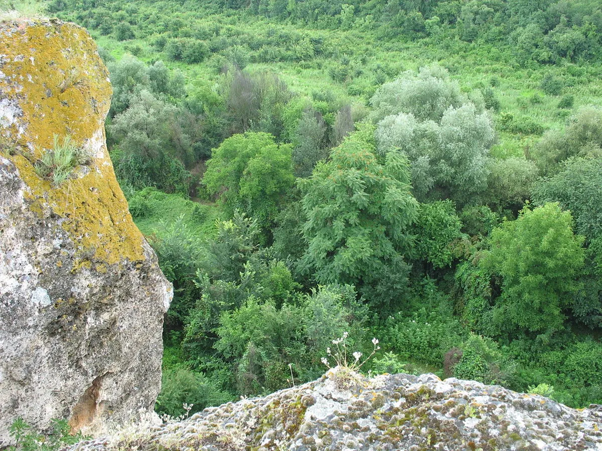 Rusenski Lom Nature Park