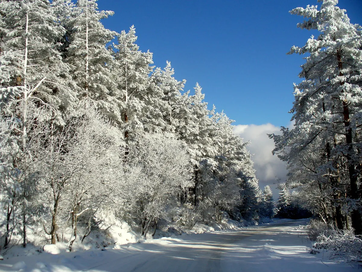 Vitosha ski resort, Bulgaria — Malyovitsa: Rugged Slopes and Backcountry Trails