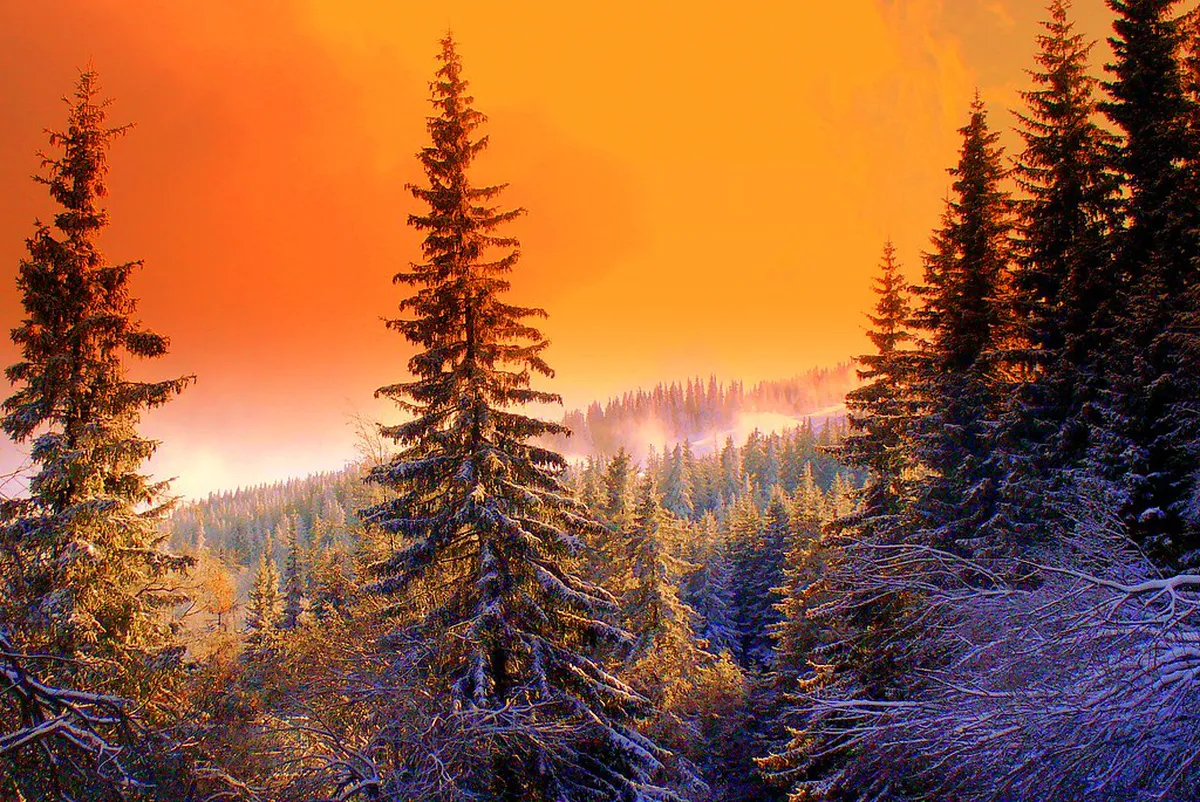 Vitosha ski resort, Bulgaria — Why Opt for Smaller Ski Resorts in Bulgaria?