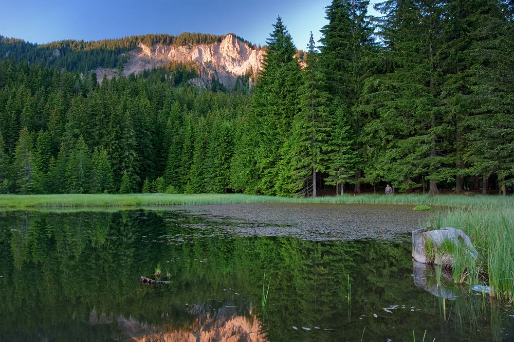 One of the Smolyan Lakes surrounded by pine forest in the Rhodopes — 2