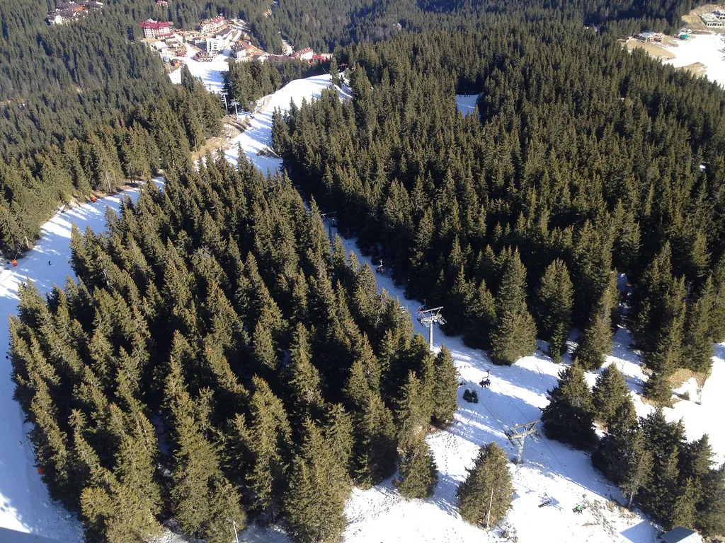 Snowboarding in Pamporovo, Bulgaria in Pamporovo, Bulgaria