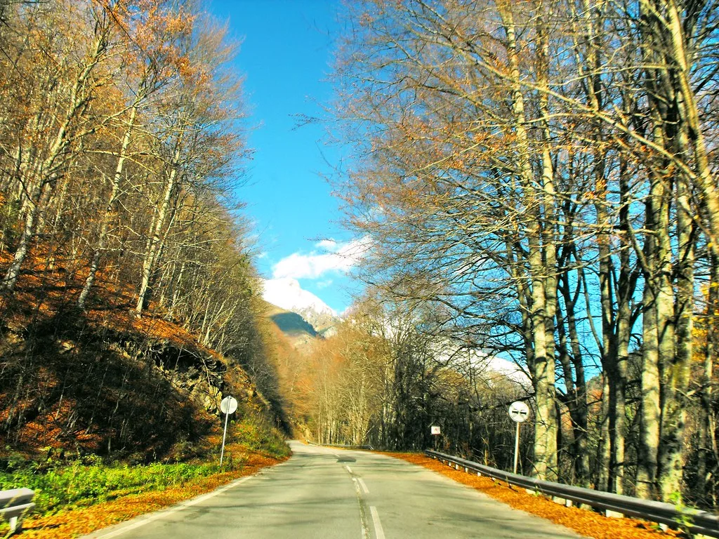 Sofia to Borovets 2026: Bus, Shuttle, Transfer & Driving Guide