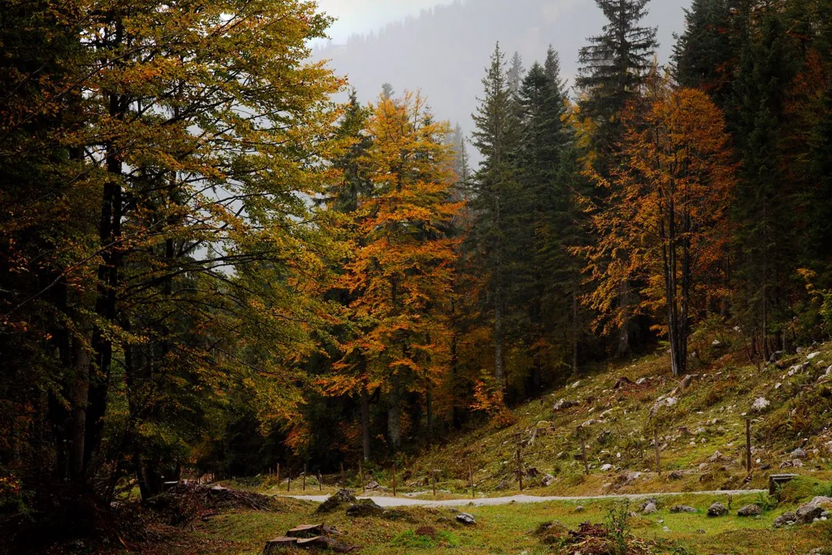 10 Best Spa Towns and Planning Tips in Bulgaria (2026)