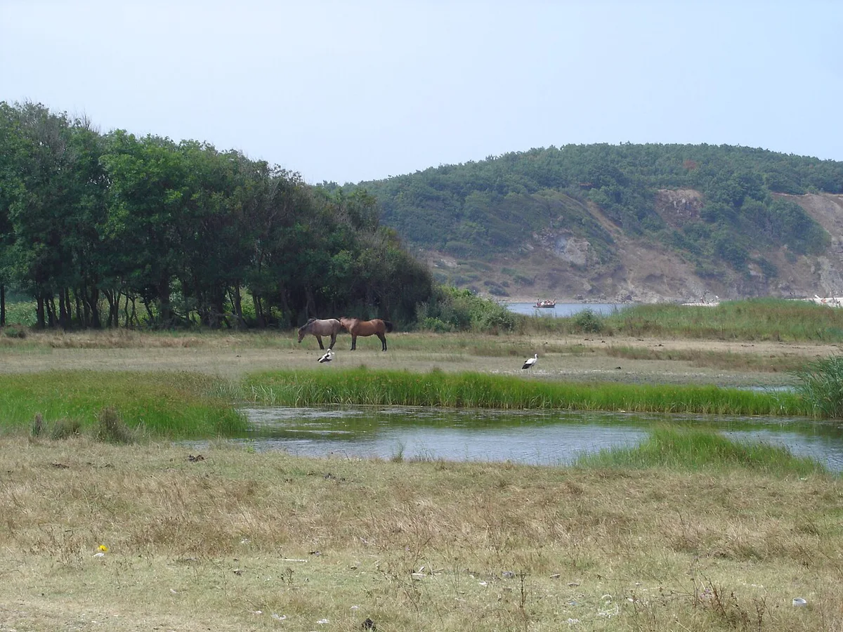 Forested hills and river valley in Strandzha Nature Park near Tsarevo, Bulgaria — 2