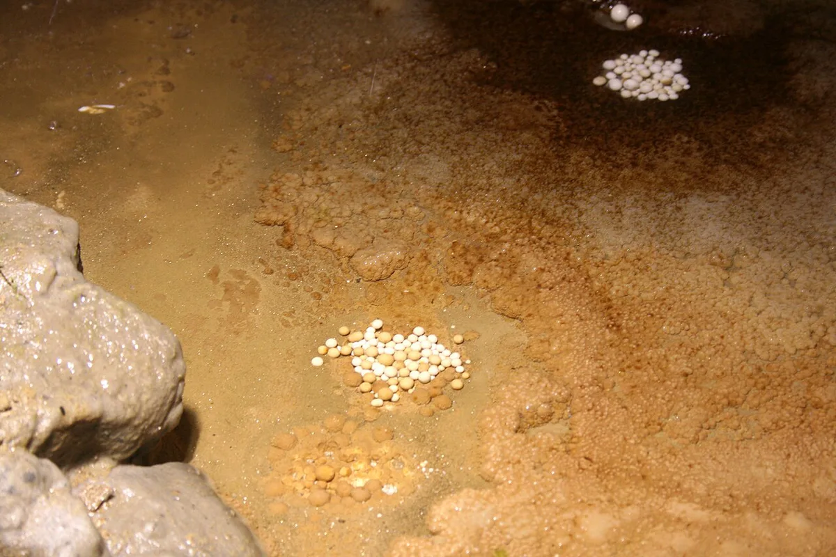 Cave pearls in nearby Yagodina Cave, a sister Rhodope show cave