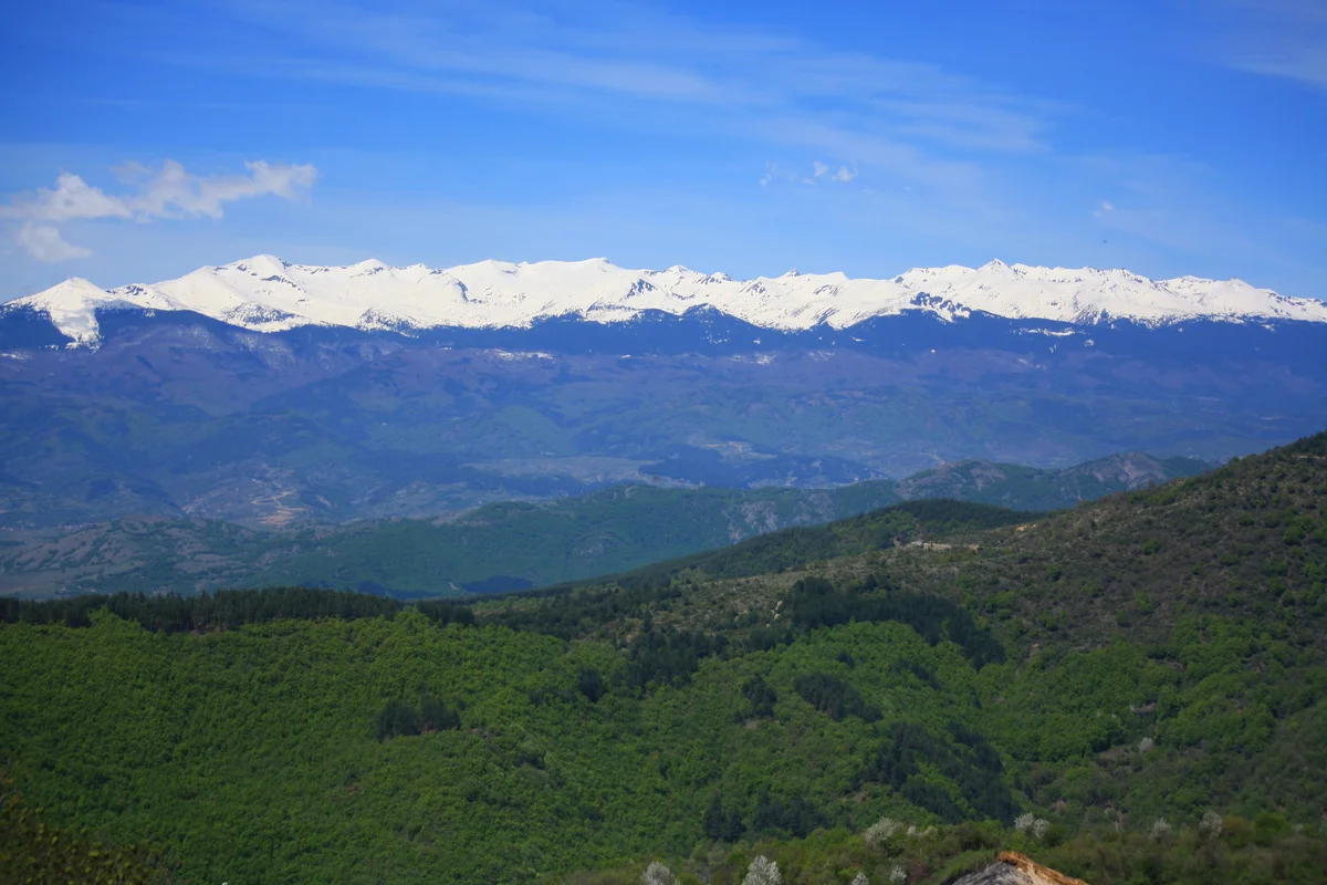 Mountain forest landscape in Rhodope Bulgaria nature