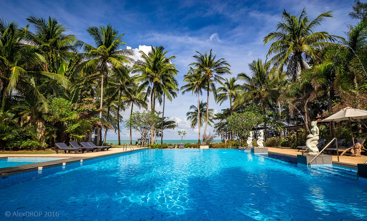 Top Hotels & Resorts by Traveler Type