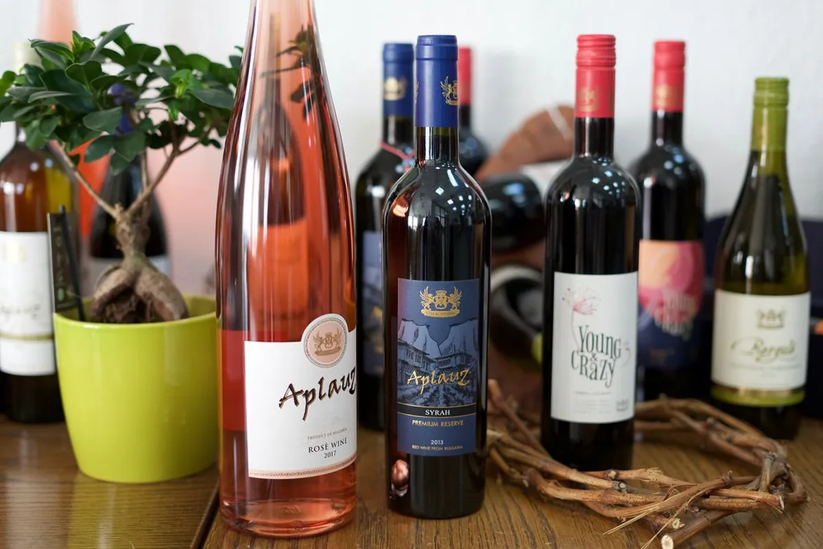 10 Best Wine Tours in Bulgaria: Regions, Wineries & Planning Guide (2026)